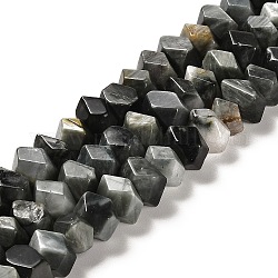 Chapelets de perles en pierre naturelle d'œil d'aigle, facette, pépites, 10~11x8~10x7~8mm, Trou: 1mm, Environ 22~23 pcs/chapelet, 7.09~7.48'' (18~19 cm)