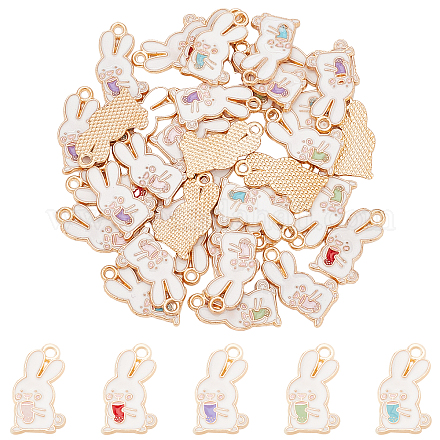 Arricraft 50 piezas 5 colgantes de conejo de aleación de color ENAM-AR0001-26-1