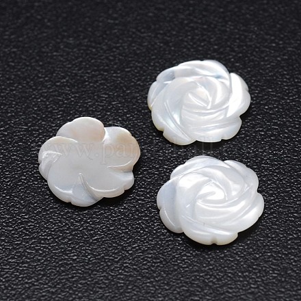White pearl shell rose cabochons SSHEL-E553-05-1