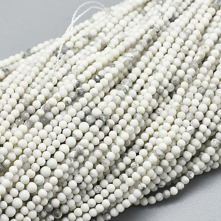 Natürliche Howlith Perlen Stränge G-A177-04-24-1