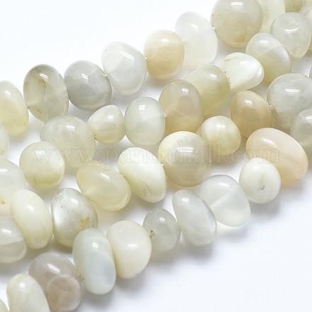 Chapelets de perles en pierre de lune naturelle X-G-E483-76-1
