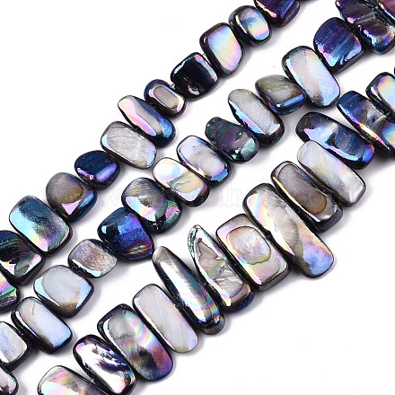 Eau douce naturelle de coquillage perles brins X-SHEL-N026-123I-1