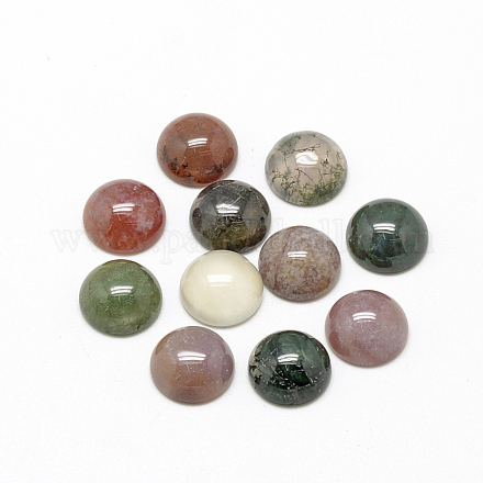Natural Indian Agate Cabochons G-R416-10mm-14-1