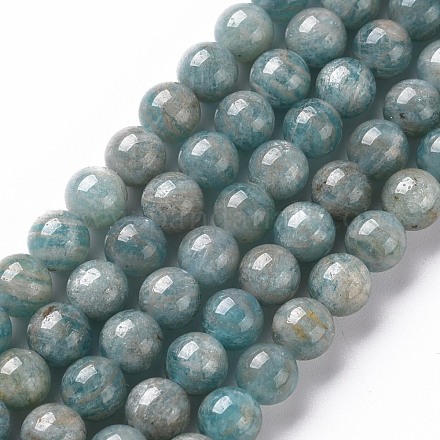 Natural Amazonite Beads Strands G-S333-6mm-005-1