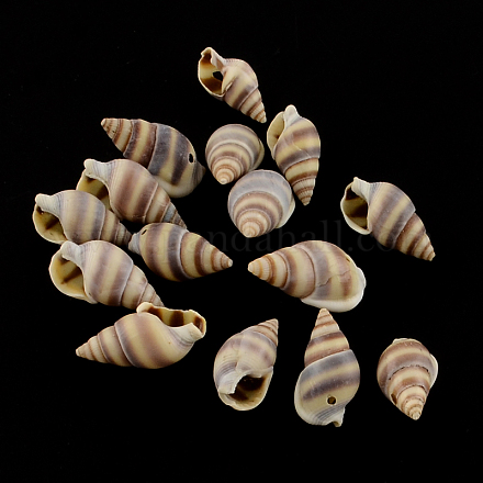 Shell spirale pendentifs de breloque SSHEL-R036-20-1