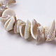 Natural Ark Shell Beads Strands BSHE-K012-06-3