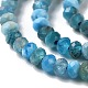 Natural Apatite Beads Strands G-G003-A04-01-4