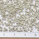 Perles rocailles miyuki rondes SEED-JP0008-RR0181-3