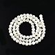 Fili di perline di conchiglia bianco naturale SSHEL-N003-144D-01-2