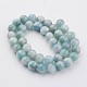 Natur persische Jade Perlen Stränge G-J356-15-10mm-2