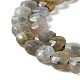 Natural Labradorite Beads Strands G-D0003-A94-4