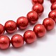 Chapelets de perles en coquille BSHE-L026-08-8mm-3