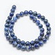Chapelets de perles en lapis-lazuli naturel G-E489-01-8mm-2
