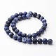 Frosted Round Natural Sodalite Bead Strands G-J346-25-10mm-2