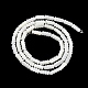 Brins de perles de coquillages naturels de troca BSHE-Z003-17-2