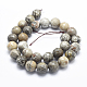 Natural Fossil Coral Beads Strands G-K256-11-14mm-2