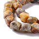 Natural Crazy Agate Beads Strands G-L235B-12-4