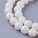 Chapelets de perles de coquillage, ronde, 8~8.2mm, Trou: 1mm, Environ 52 pcs/chapelet, 15.98 pouce (40.6 cm)