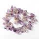 Natural Amethyst Nuggets Beads Strands G-L346-02-2