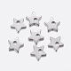 304 Stainless Steel Charms STAS-F159-54P-1