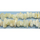 Hebras de cuentas de chips de concha blanca natural F051-1