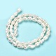Natural Cultured Freshwater Pearl Beads Strands PEAR-E016-152-3