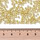 12/0 Glass Seed Beads X1-SEED-A017-2mm-1107-3
