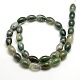 Natural Oval Moss Agate Beads Strands G-P063-01-2