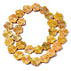 Natural Freshwater Shell Beads Strands SHEL-Q025-002E-2