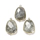 Natural Labradorite Faceted Connector Charms G-F763-02G-03-1