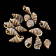 Shell spirale pendentifs de breloque SSHEL-R036-20-1