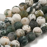 Natural Tree Agate Frosted Agate Round Gemstone Beads Strands, 8mm, Hole: 1mm, about 47pcs/strand, 15 inch