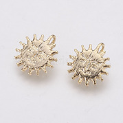 Long-Lasting Plated Brass Charms KK-F741-04G