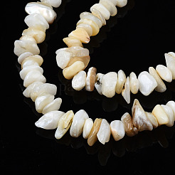 Natürlichen Süßwasser-Muschelperlen Stränge&nbsp;SHEL-S278-070G