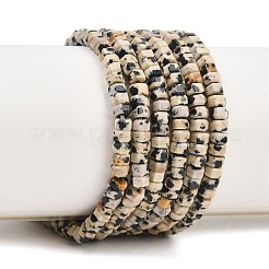 Natur Dalmatiner Jaspis Perlen Stränge&nbsp;G-G345-C14-2x4mm
