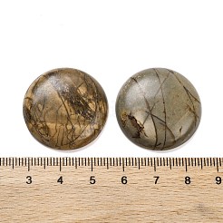 Natürliche Picasso-Jaspis-Cabochons&nbsp;G-B085-02A-09