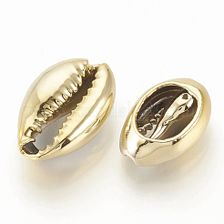 Conchas de concha de mar&nbsp;X-SSHEL-S258-05A
