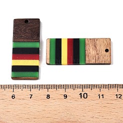 Pendentifs en résine époxy de couleur jamaïcaine et bois de noyer&nbsp;RESI-N039-122K