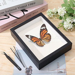 DIY-Kits zur Präsentation von Insektenproben&nbsp;DIY-GL0006-09