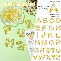 26pcs 26 Arten transparente Epoxidharz-Anhänger&nbsp;CRES-YW0002-28L