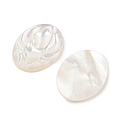 Natürliche weiße Muschel-Cabochons geschnitzt&nbsp;SSHEL-I026-22A
