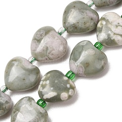 Natürliche Frieden Jade Perlen Stränge&nbsp;G-B022-31C-01