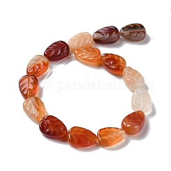Fili di perline agata rosso naturale&nbsp;G-M418-A05-01