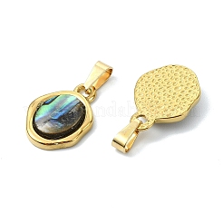 Natur Paua Muschel Anhänger&nbsp;PALLOY-JF05608