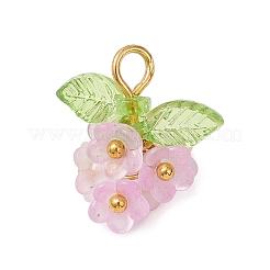 Pendentifs en acrylique transparent &nbsp;PALLOY-JF04669