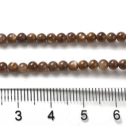 Eau douce naturelle de coquillage perles brins&nbsp;SHEL-H003-03D