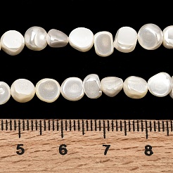 Galvanisierte Muschelperlenstränge&nbsp;BSHE-B008-06B