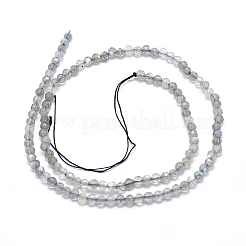 Natur Labradorit Perlen Stränge&nbsp;LS-G-D0003-E86-4MM