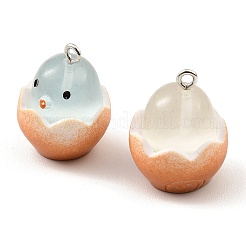 Pendentifs en résine lumineux&nbsp;CRES-F028-02