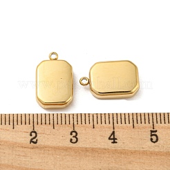 Ciondoli in acciaio inossidabile 304&nbsp;STAS-L022-185G